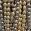 ARPA İNCİ(7-8 MM) - Görsel 2