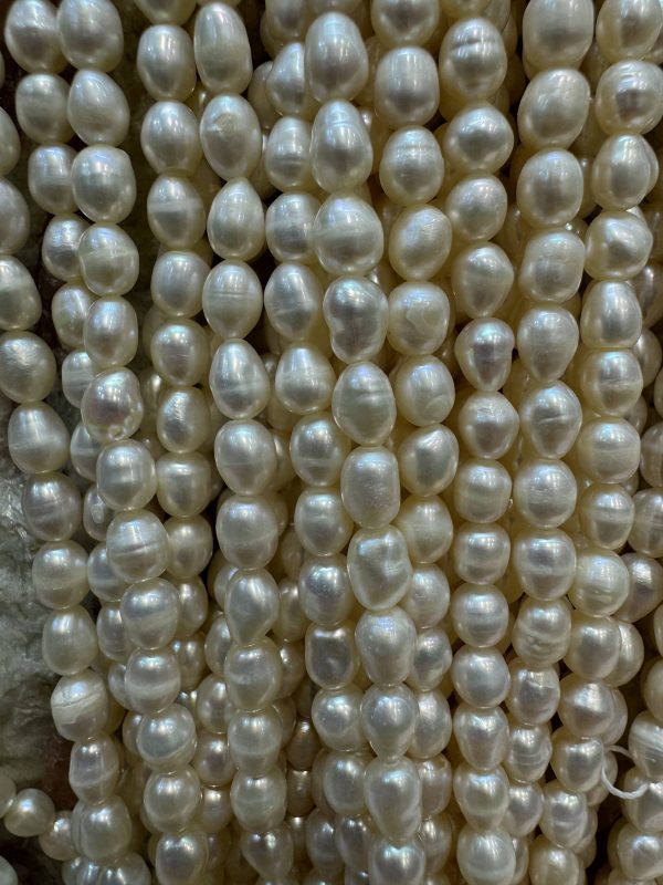 ARPA İNCİ(4 MM) - Görsel 2