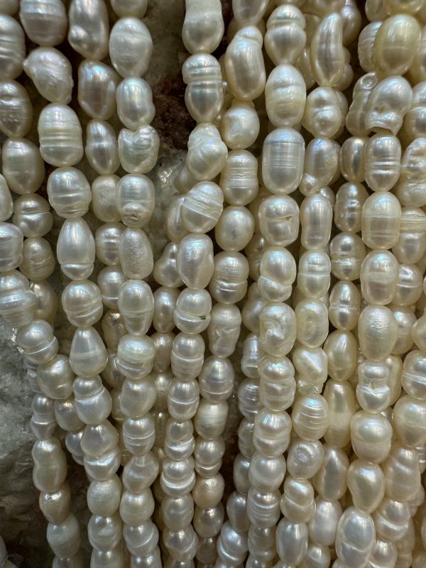 ARPA İNCİ(4-4,5 MM) - Görsel 2