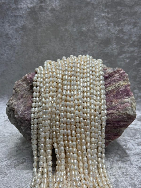 ARPA İNCİ (5-6MM)