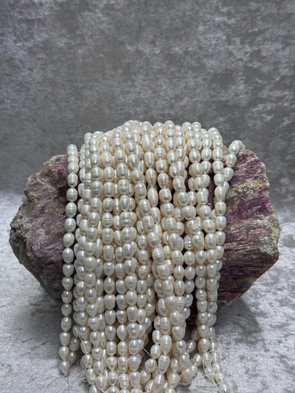 ARPA İNCİ (9-10 MM)