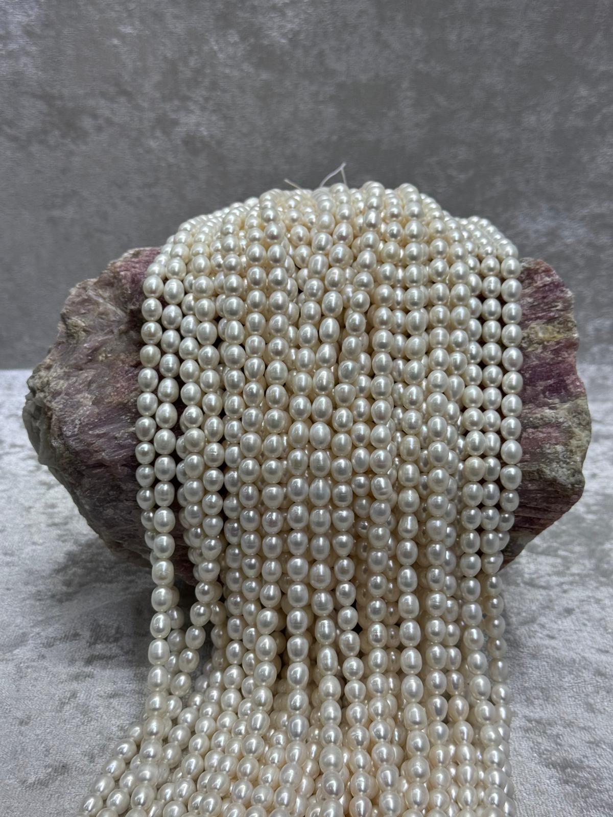 ARPA İNCİ (7-8 MM)
