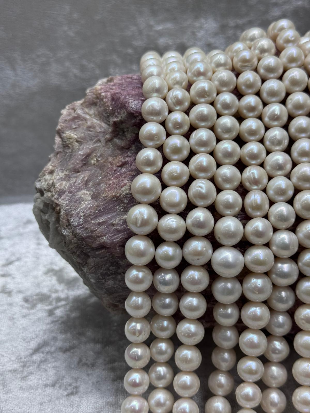 inci (11-12 mm) - Image 2